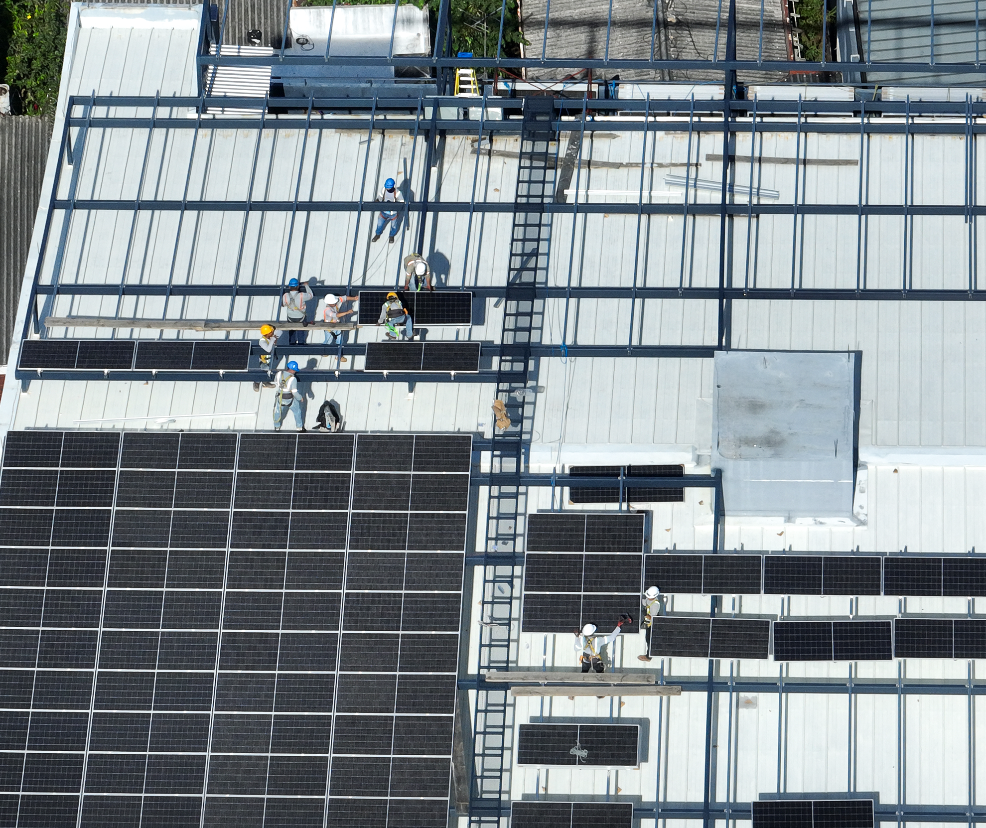 TRABAJADORES EDIF ROMA